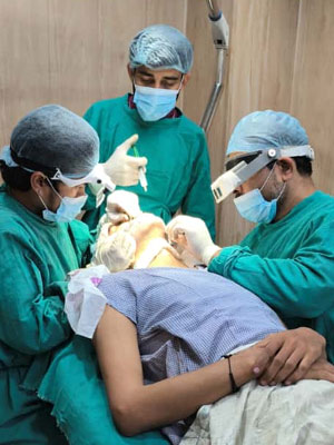 hair root transplant meerut